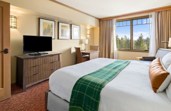 5edd5219 b5ea 4d71 9094 fd2b4c9a484b